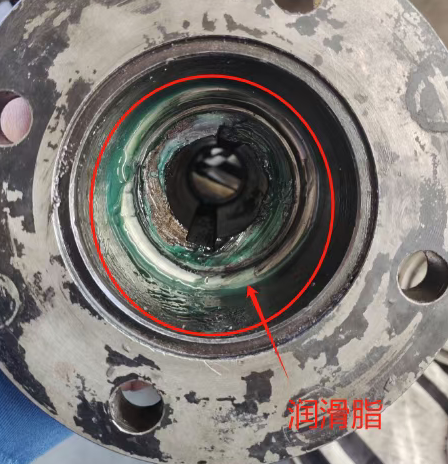 图片关键词 图片关键词